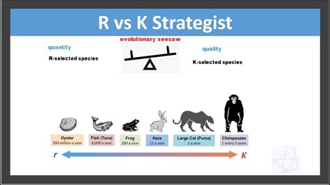 r vs k selection